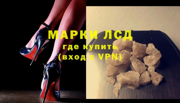 прущие грибы Баксан