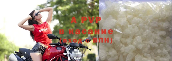 прущие грибы Баксан