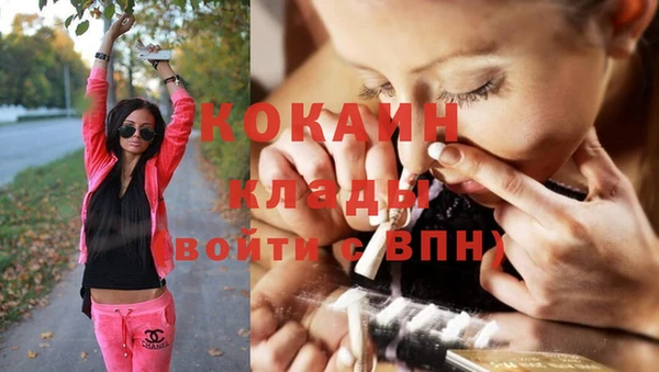 дживик Балахна