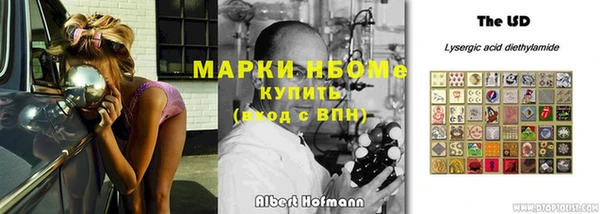 прущие грибы Баксан