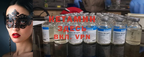 прущие грибы Баксан