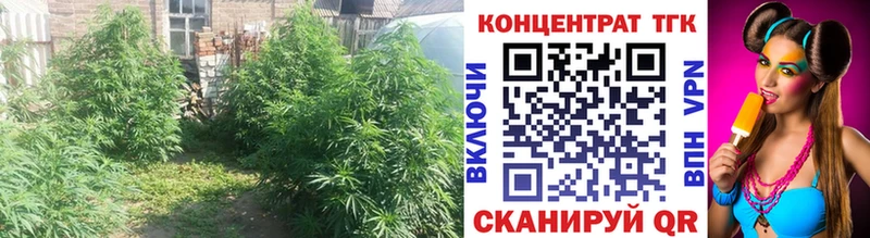 Дистиллят ТГК THC oil  ссылка на мегу маркетплейс  Можайск 