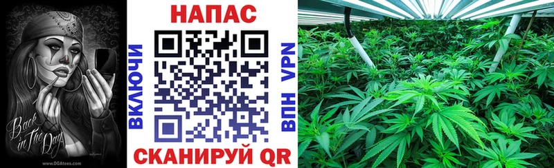 Шишки марихуана Bruce Banner кракен Можайск